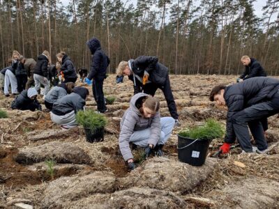 Lasy rosną razem z nami – kolejne 10 000 drzew posadzonych!